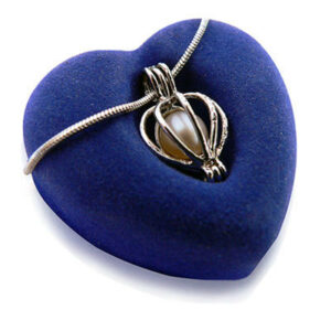 Perla într-o coajă completată cu un colier și un inel într-o cutie cu o barcă