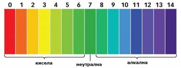 Benzi de pH pentru măsurarea acidității - Image 2