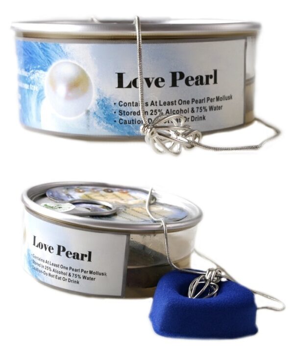 Pearl in a clam with necklace and ring in a red box - Image 6